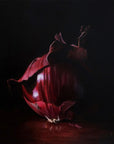 Red onion